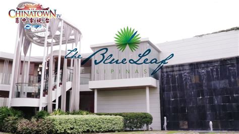 blue leaf filipinas|The Blue Leaf.